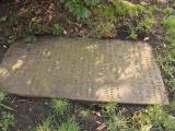 image of grave number 433042